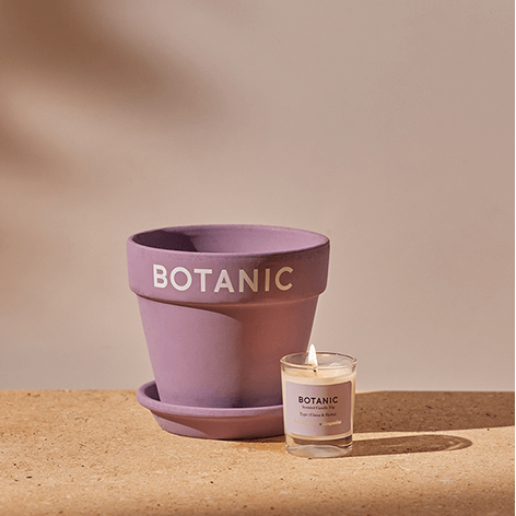 캔들과 레몬밤 화분이 포함된 보타닉 키트Botanic Kit