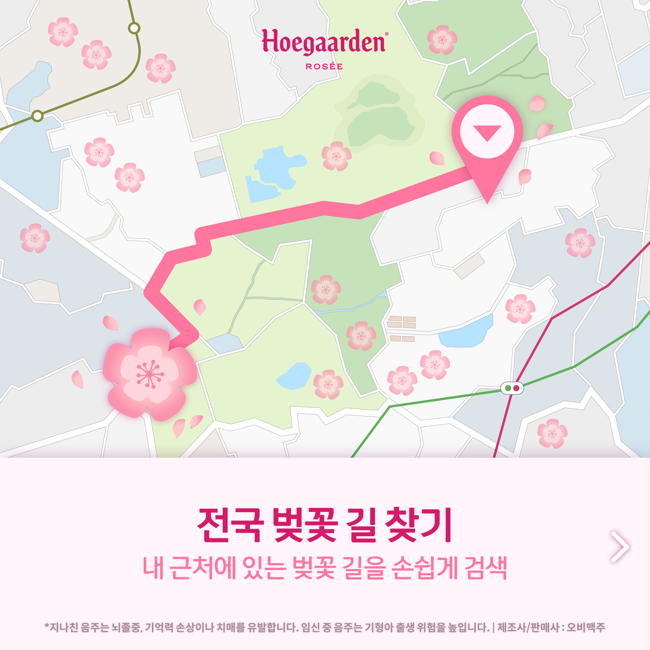 호가든 로제 벚꽃맵